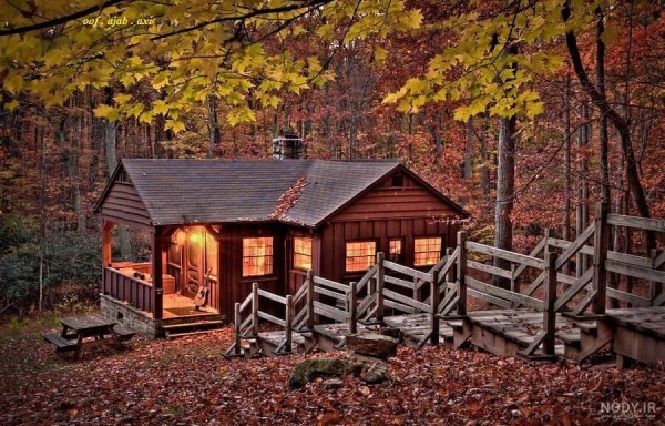  عکس کلبه در جنگل پاییزی