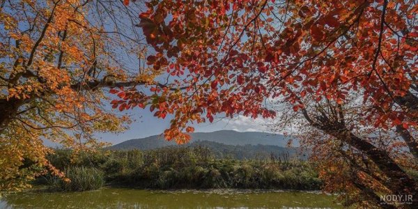  عکس کلبه در جنگل پاییزی