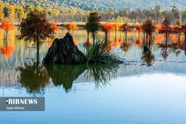  عکس دریاچه در فصل پاییزی