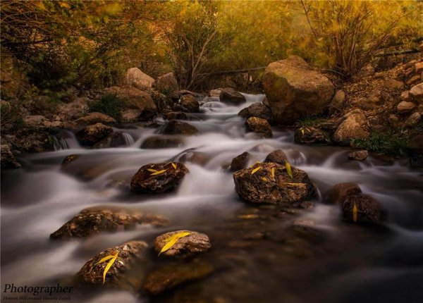  عکس طبیعت پاییزی رنگارنگ