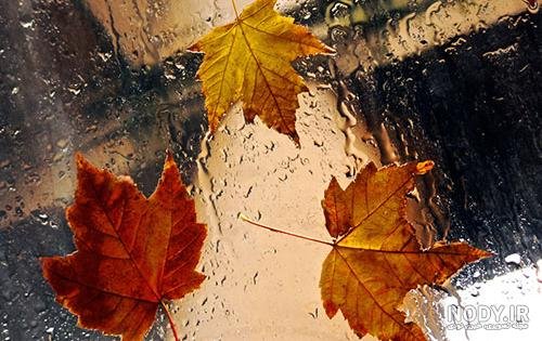 عکس پاییزی باران