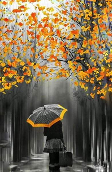 عکس پاییز بارانی