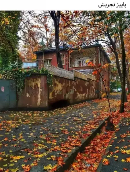 عکس بارش باران در پاییز