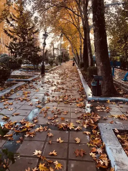  عکس بارش باران در پاییز