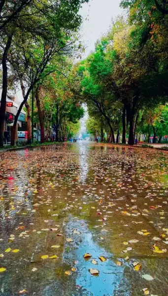  عکس بارش باران در پاییز