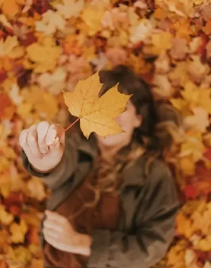  عکس پروفایل پاییز