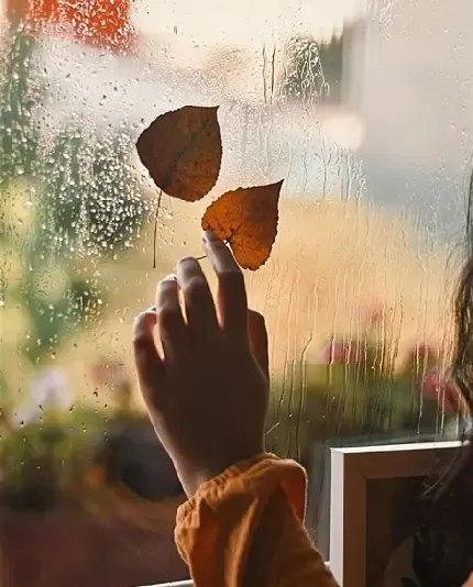  بک گراند پاییز