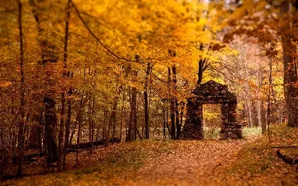 بک گراند پاییز