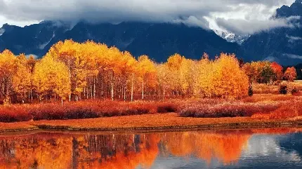 بک گراند پاییزی پینترستی