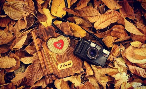 بک گراند پاییزی فانتزی
