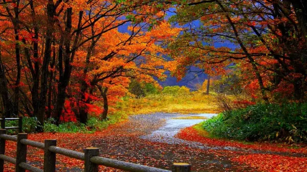 بک گراند پاییزی فانتزی