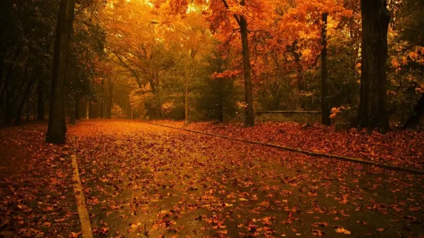 بک گراند پاییزی فانتزی