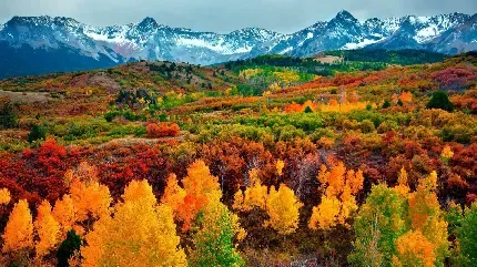  بک گراند عکس پاییز