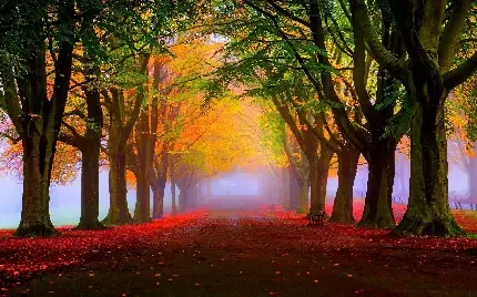  بک گراند عکس پاییز