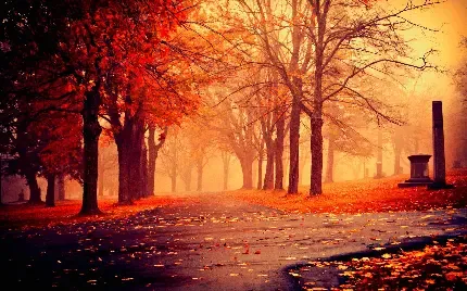  بک گراند عکس پاییز