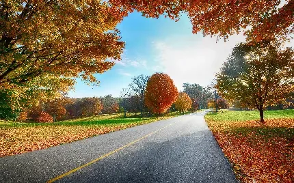  بک گراند عکس پاییز