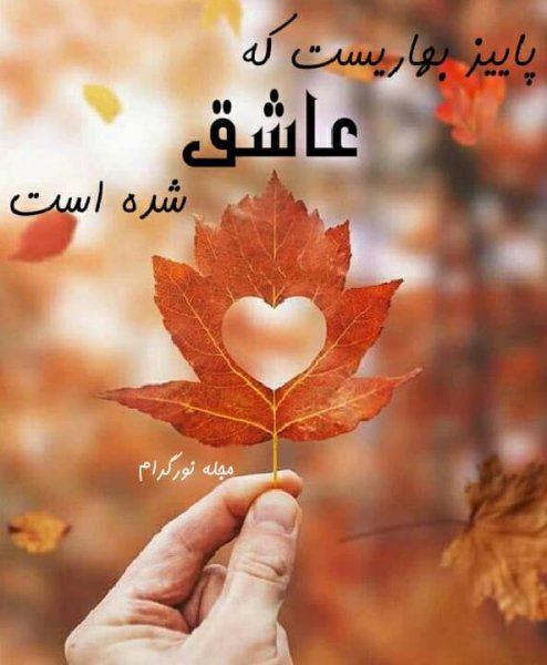 عکس استوری فصل پاییز