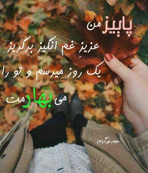 عکس استوری فصل پاییز