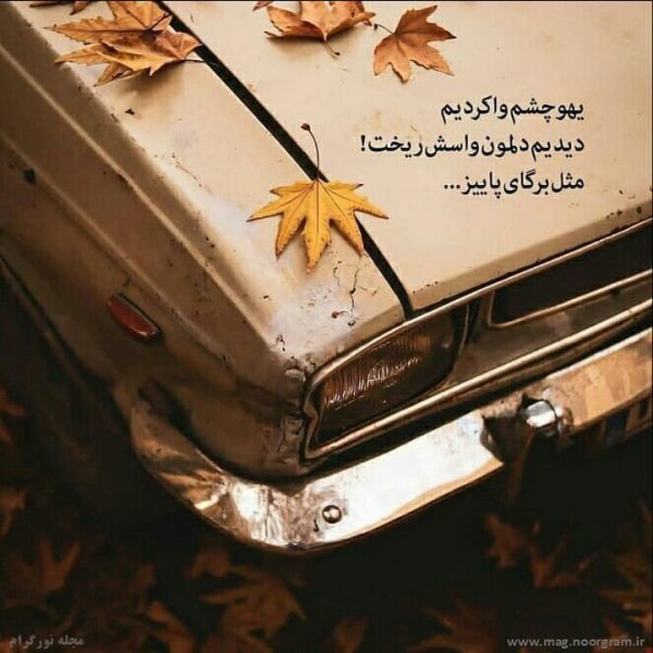 عکس استوری فصل پاییز