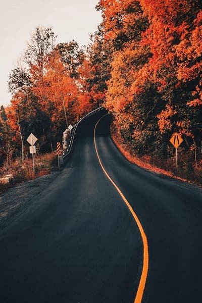 عکس فصل پاییز برای تصویر زمینه
