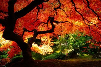 عکس فصل پاییز برای والپیپر