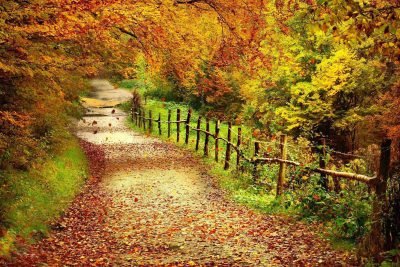 عکس فصل پاییز برای والپیپر