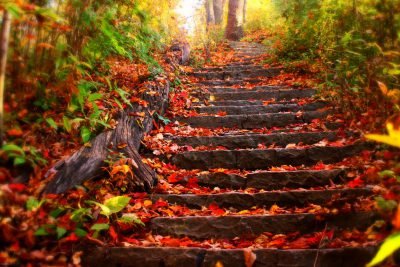 عکس فصل پاییز برای والپیپر