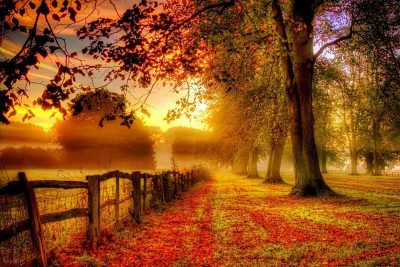 عکس فصل پاییز برای والپیپر