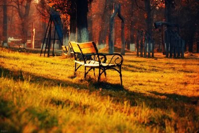 عکس فصل پاییز برای والپیپر