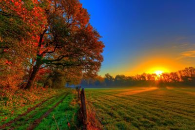 عکس فصل پاییز برای والپیپر