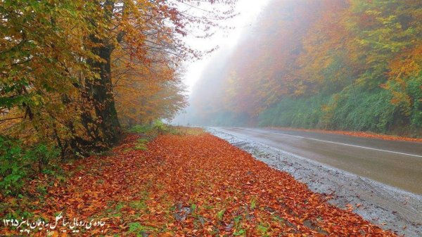عکس های هنری فصل پاییز