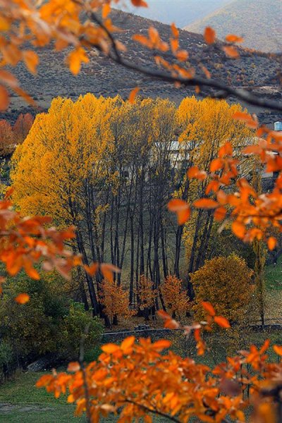 عکس های هنری فصل پاییز