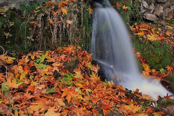 عکس های هنری فصل پاییز