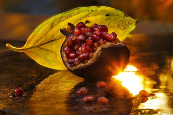 عکس های هنری فصل پاییز