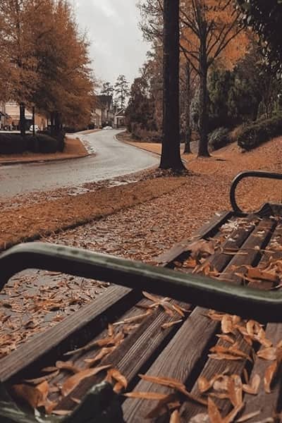 عکس پاییزی غمگین