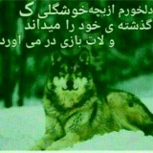  پروفایل خفن پسرانه لاتی