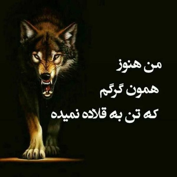 بیوگرافی لاتی سنگین کوتاه