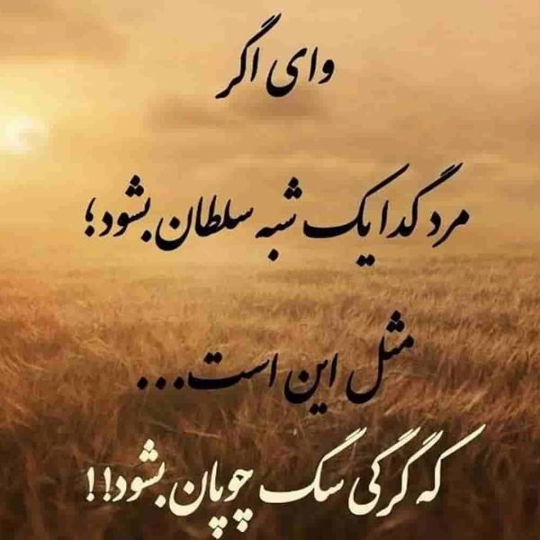 بیوگرافی لاتی سنگین کوتاه