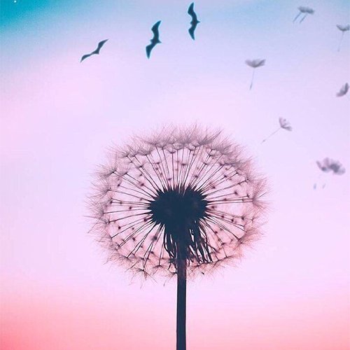  عکس لوکس برای پروفایل