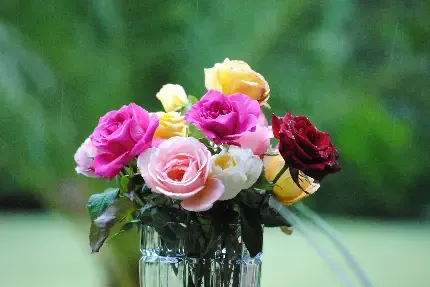  عکس های زیبا گل