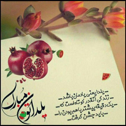  عکس یلدا خاص پروفایل