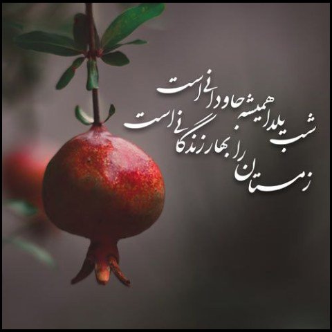  عکس یلدا خاص پروفایل