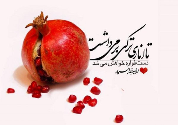  عکس پروفایل یلدا واتساپ