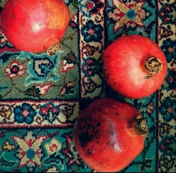 بک گراند یلدا هنری