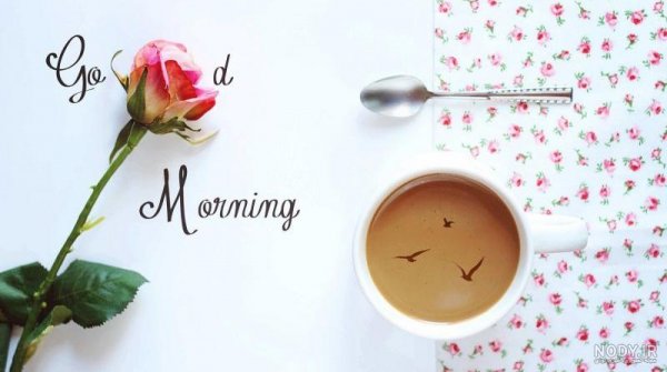  عکس قهوه برای استوری صبح بخیر