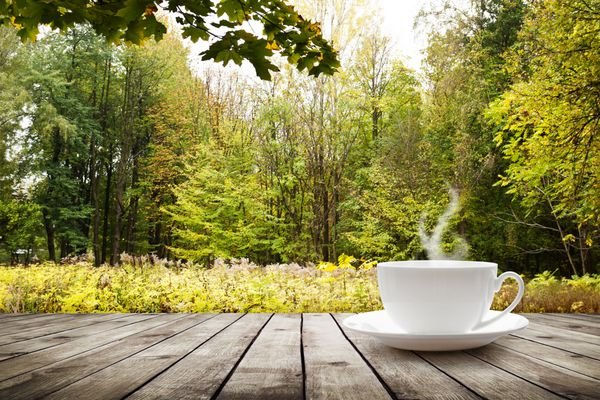  عکس فنجان قهوه در طبیعت