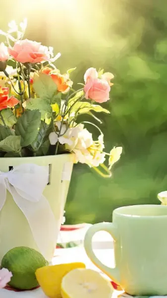  عکس باکلاس قهوه