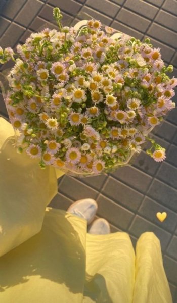  عکس دسته گل زیبا