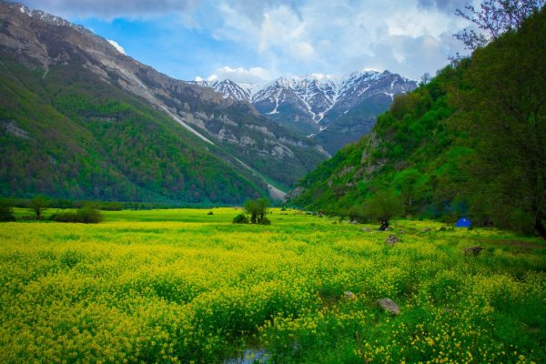  عکس با کیفیت بالا