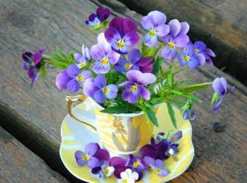  عکس برای دسکتاپ با کیفیت بالا